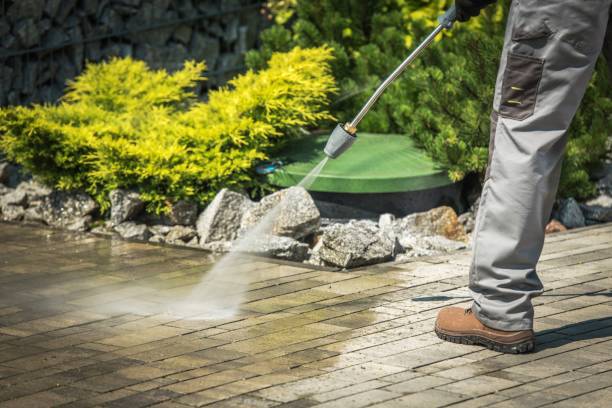 Best Winterizing Services  in Coconut Creek, FL