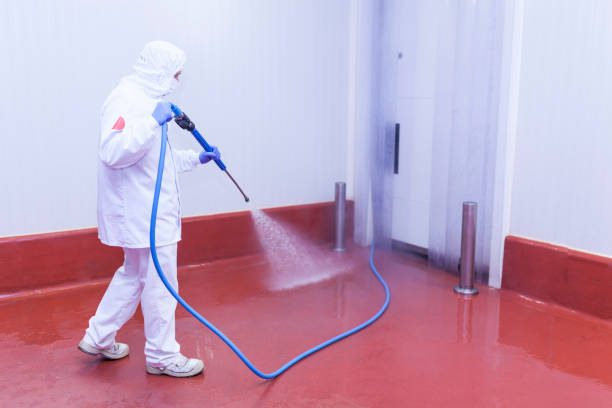Professional Pressure Washing Services in Coconut Creek, FL